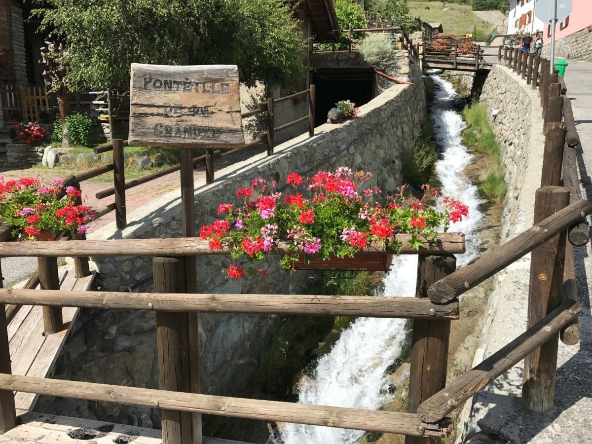 Bellavista Cogne Apartment Dış mekan fotoğraf